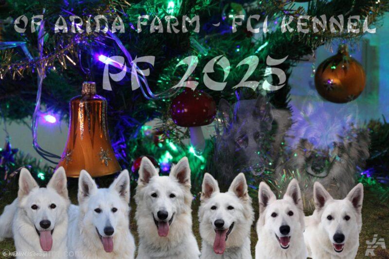 PF 2025